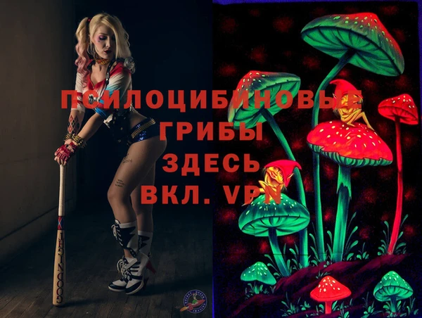 таблы Белокуриха