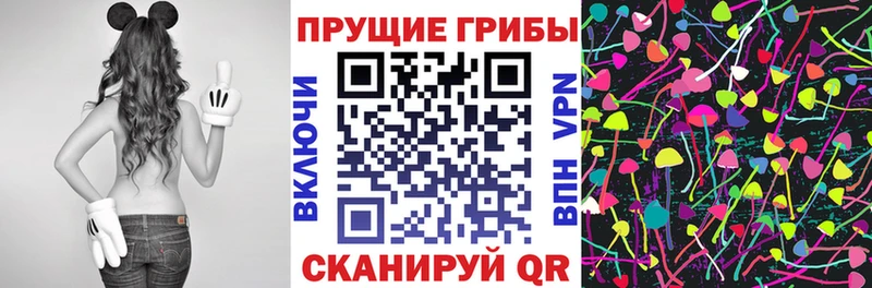 Псилоцибиновые грибы Magic Shrooms  блэк спрут сайт  Яхрома 