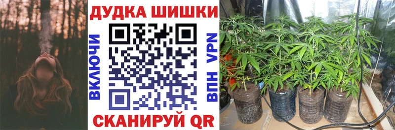 сколько стоит  гидра ТОР  МАРИХУАНА план  Яхрома 